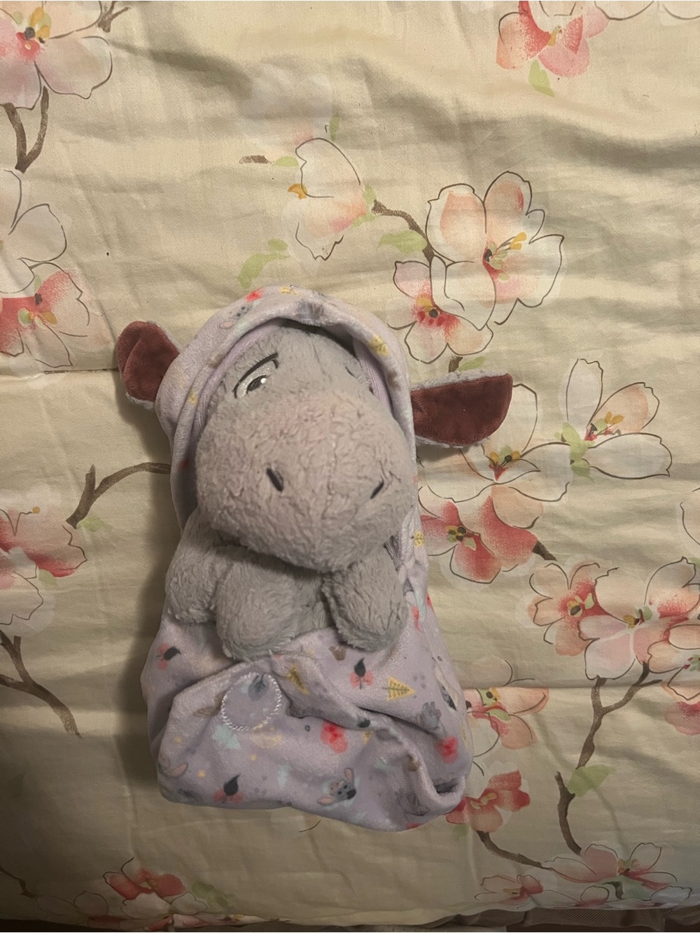 Disney Parks Babies Winnie the Pooh - Eeyore in a Blanket Swaddle Pouch Plush